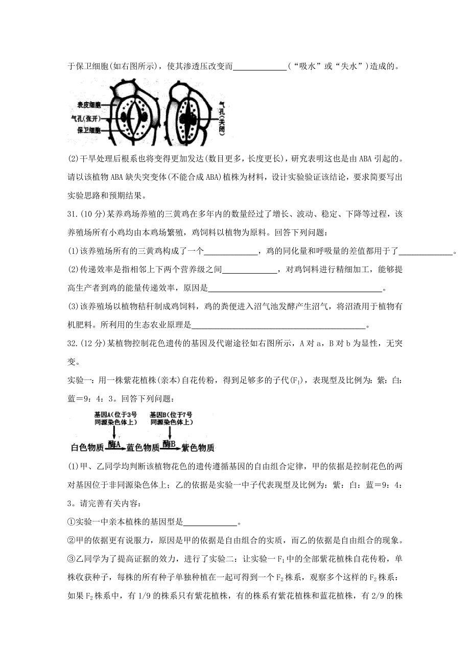 四川省遂宁市射洪中学2020届高三生物4月模拟考试试题.doc_第3页