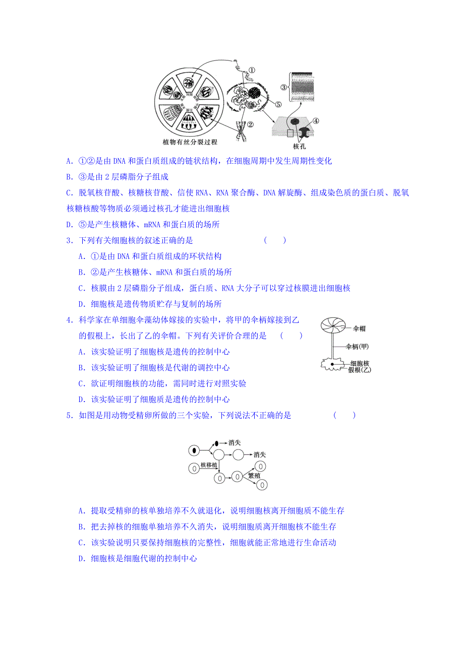 广东省惠阳区中山中学高三生物总复习学案：3-3 《细胞核》 WORD版缺答案.doc_第3页