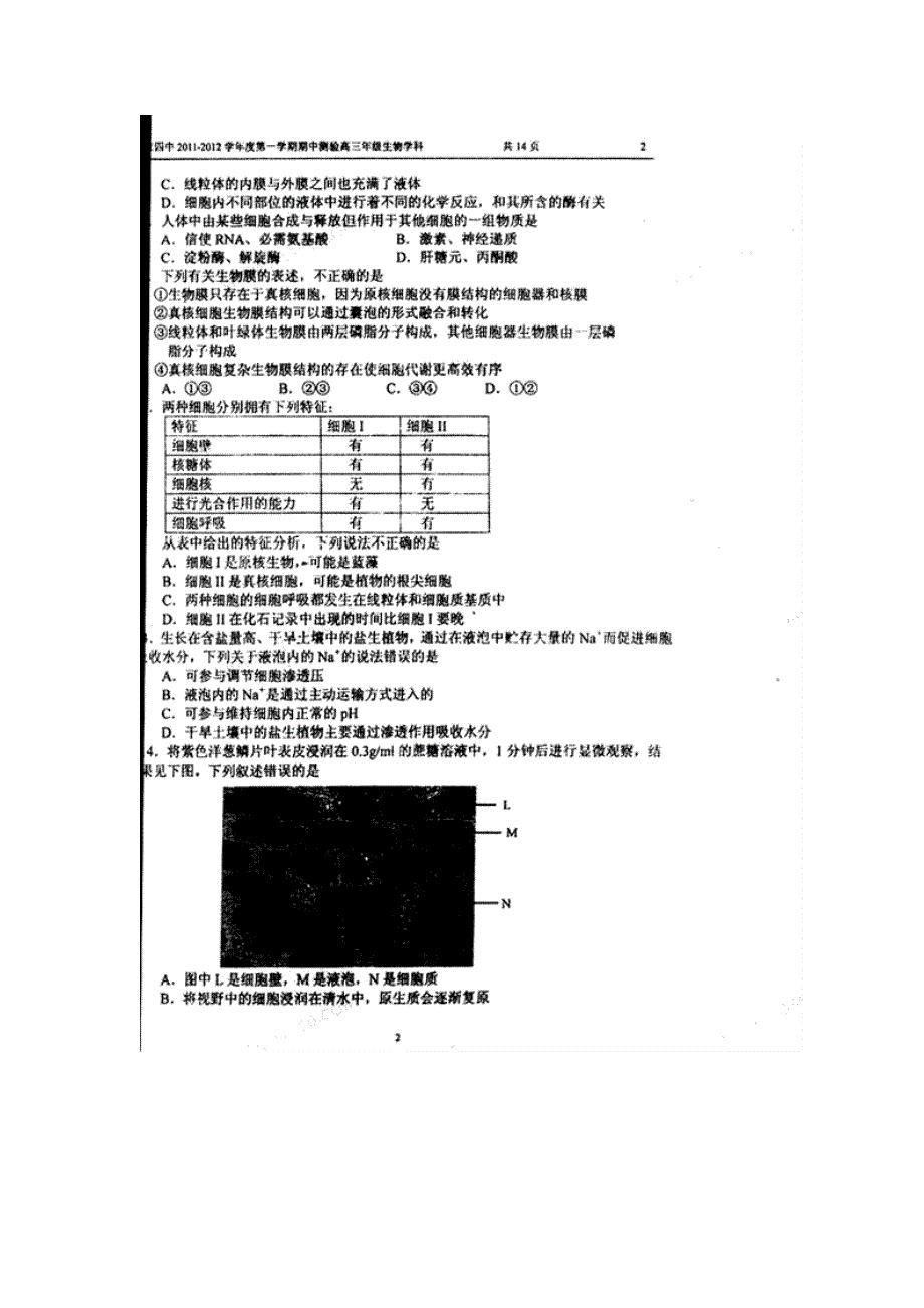 北京四中2012届高三第一学期期中测试（生物）扫描版.doc_第2页