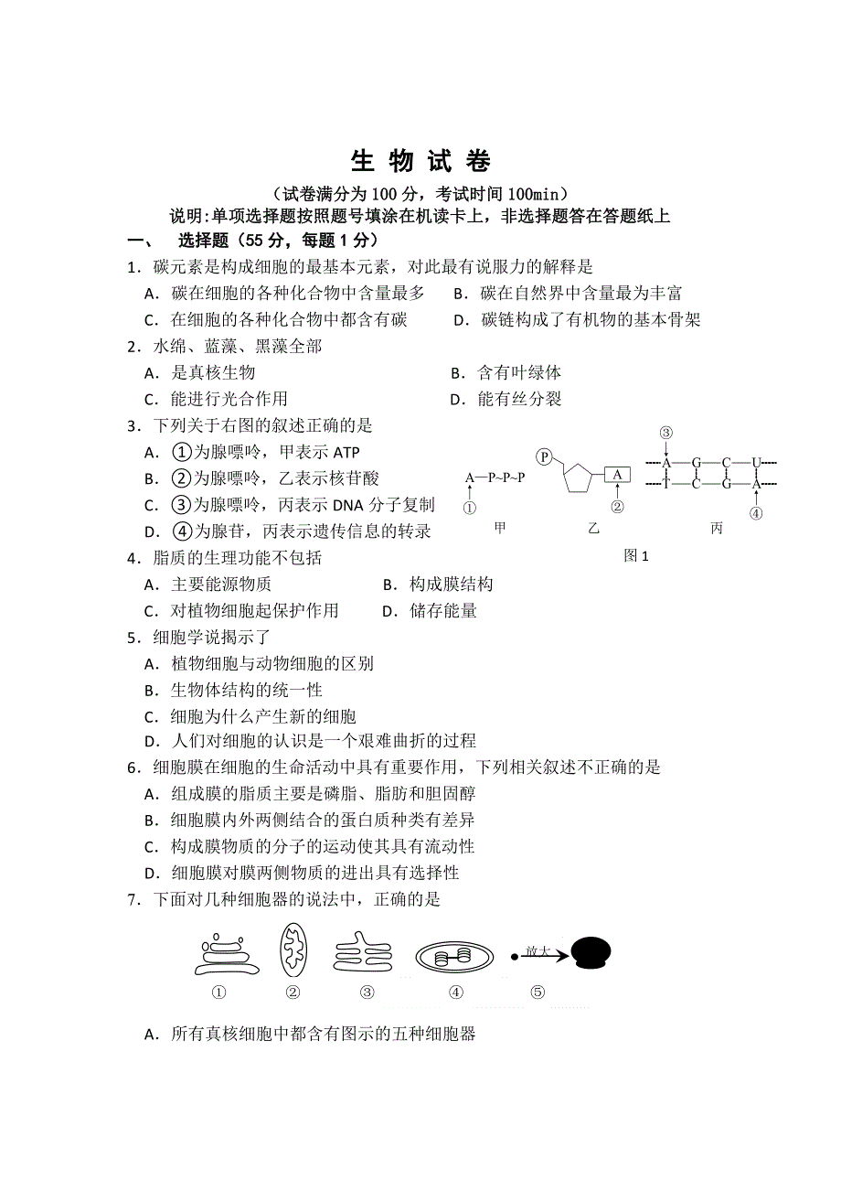 北京四中2013届高三上学期开学检测生物试题.doc_第1页