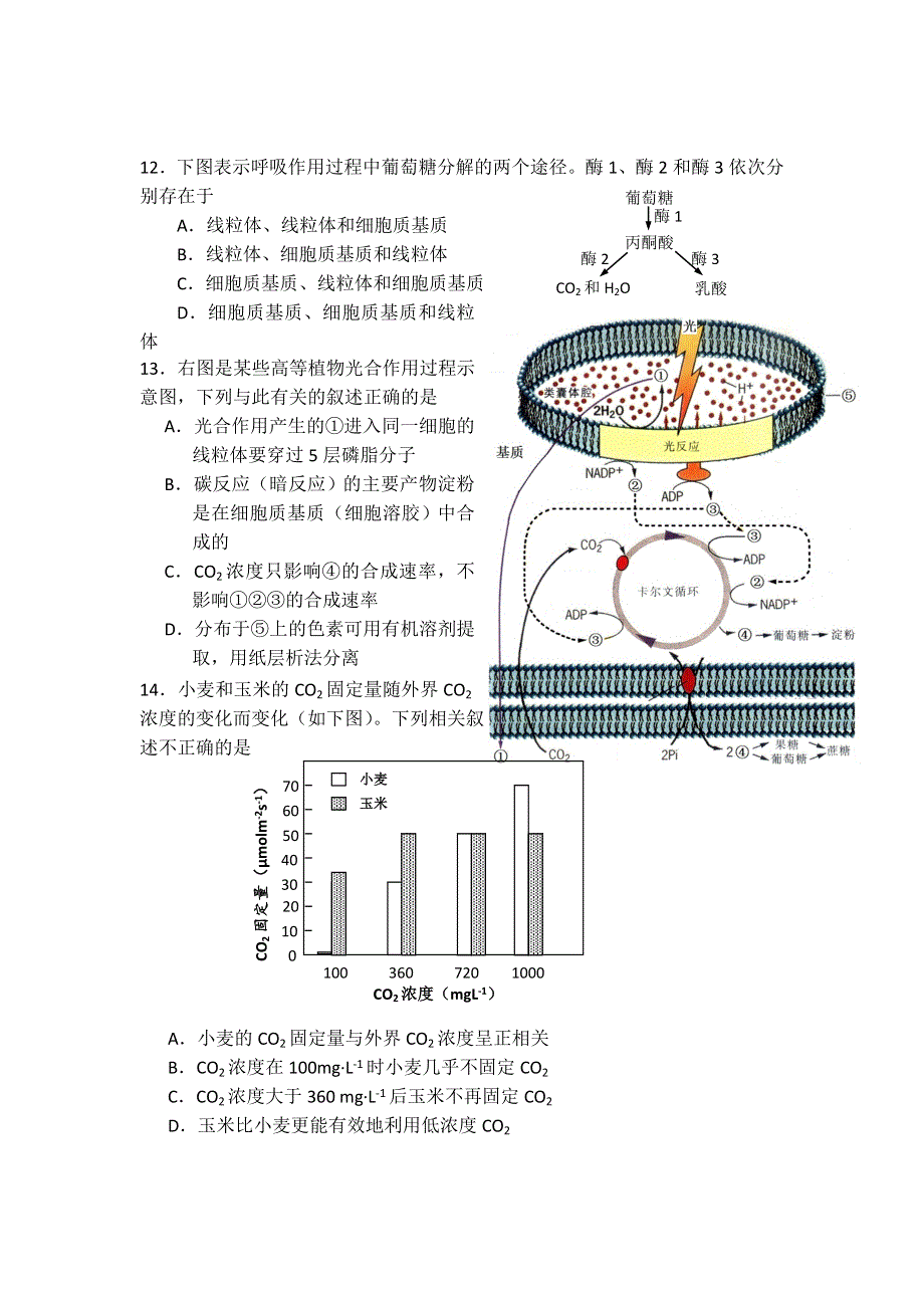 北京四中2013届高三上学期开学检测生物试题.doc_第3页