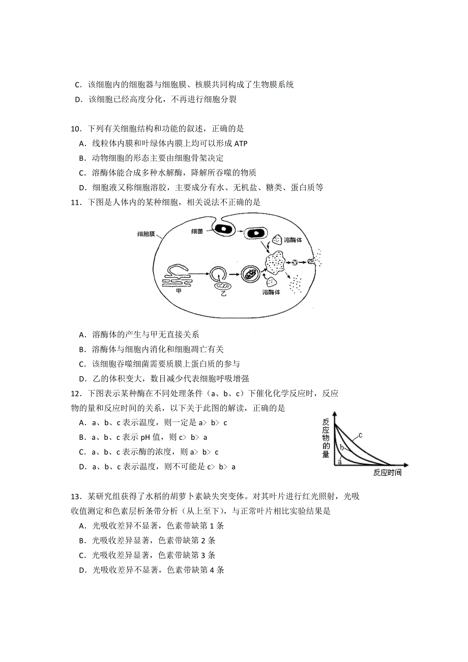 北京四中2013届高三上学期期中测验生物试题.doc_第3页