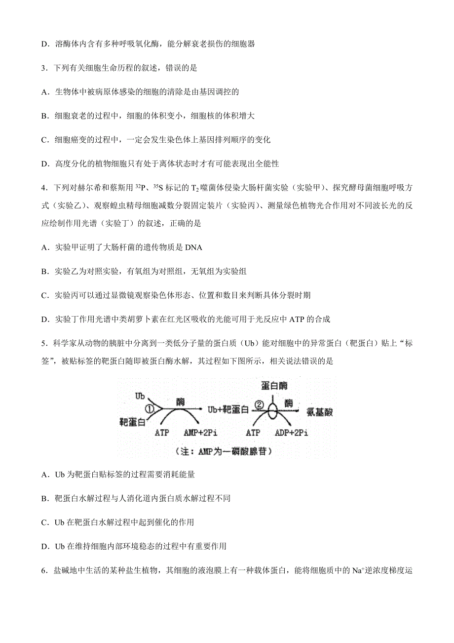 山东省枣庄滕州市2021届高三上学期期中考试生物试题 WORD版含答案.docx_第2页