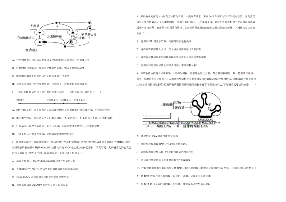 山东省枣庄滕州市第二中学2022届高三上学期第一次质量检测生物试题 WORD版含答案.docx_第2页