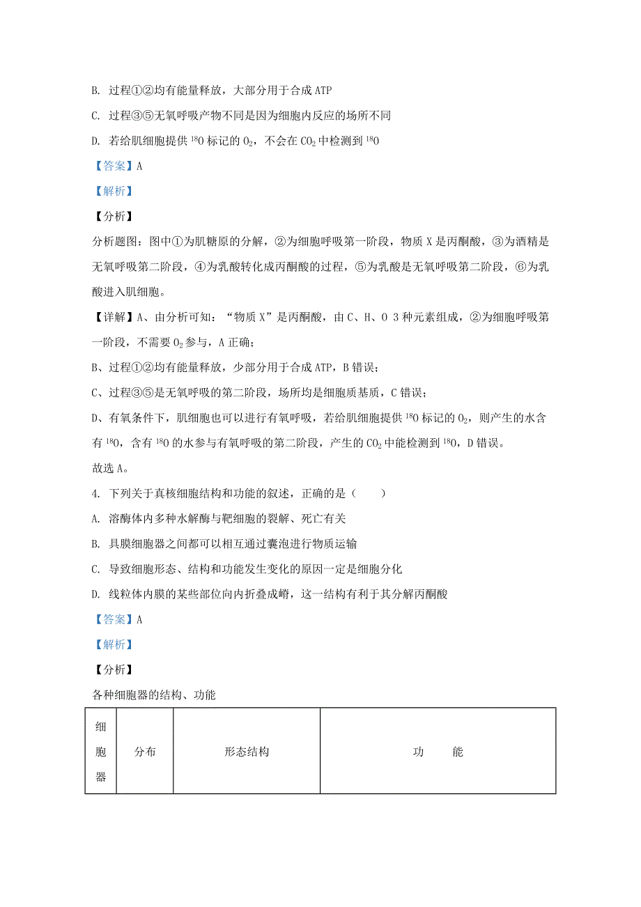 山东省济南市山东实验中学2021届高三生物第一次诊断考试试题（含解析）.doc_第3页