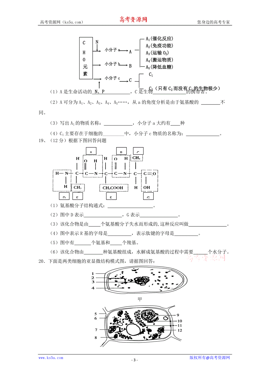 广东省惠阳一中实验学校2011-2012学年高一上学期期中考试生物试题（A）.doc_第3页