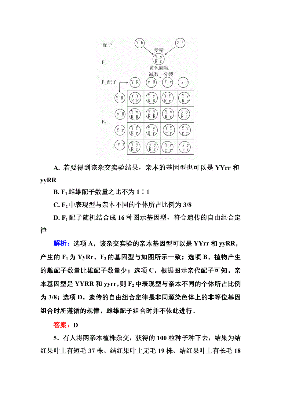 2016届高考生物一轮总复习限时规范特训 5-16孟德尔的豌豆杂交实验（二） .doc_第3页