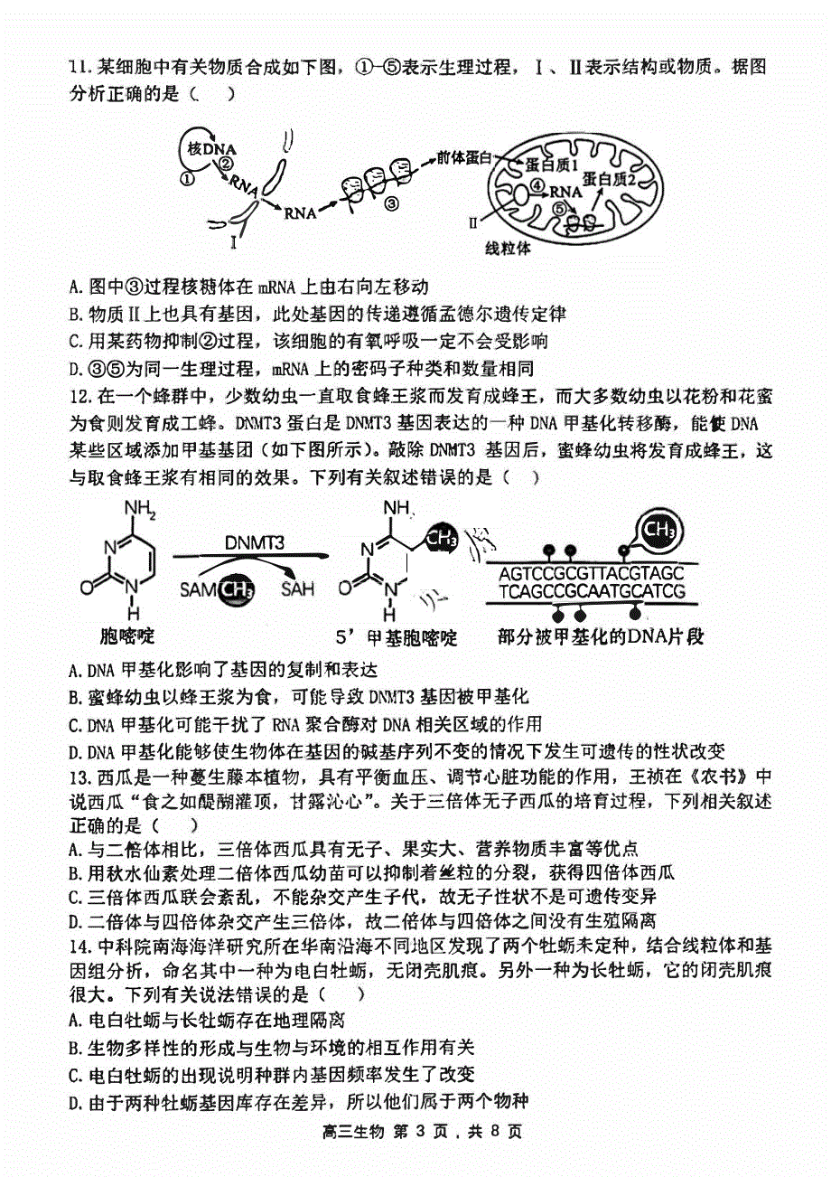 黑龙江省哈尔滨市2023-2024高三生物上学期期中考试试题(pdf).pdf_第3页