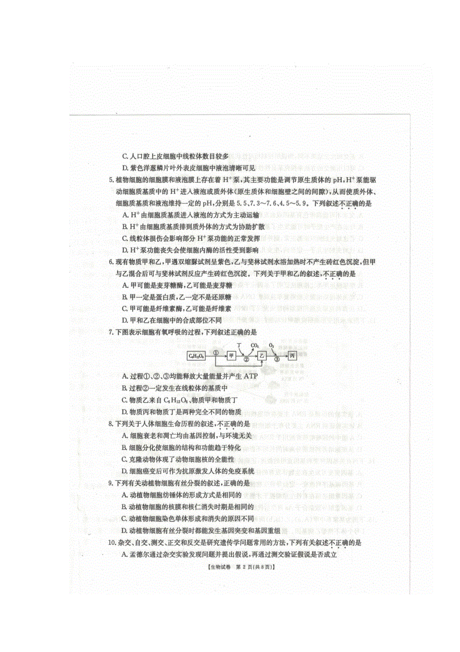 内蒙古乌兰浩特市第一中学2017届高三上学期第一次月考生物试题 扫描版含答案.doc_第2页