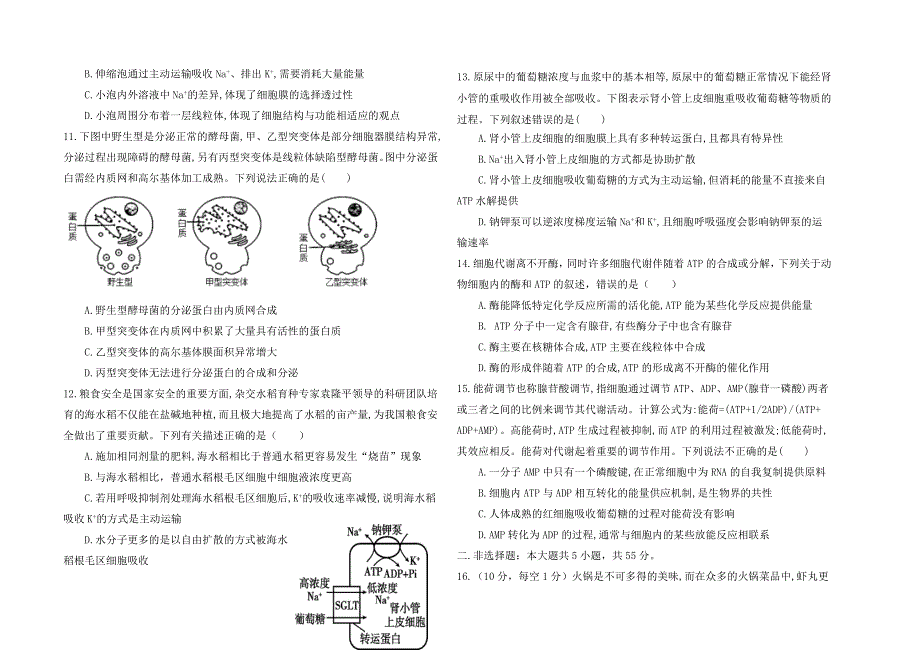 海南省华中师范大学琼中附属中学2022-2023学年高三上学期9月份月考生物试题 WORD版含解析.doc_第3页