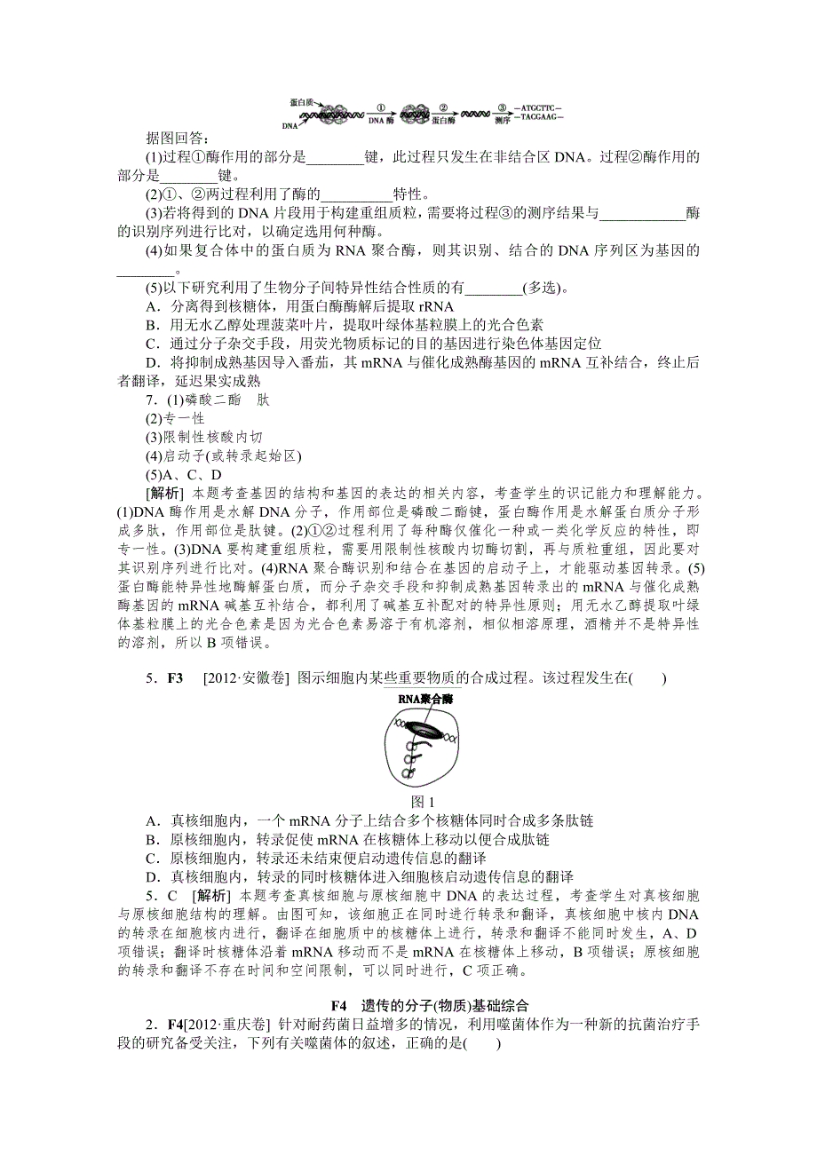 2012年高三生物最新高考试题、模拟新题分类汇编：专题6 遗传的分子（物质）基础.DOC_第2页