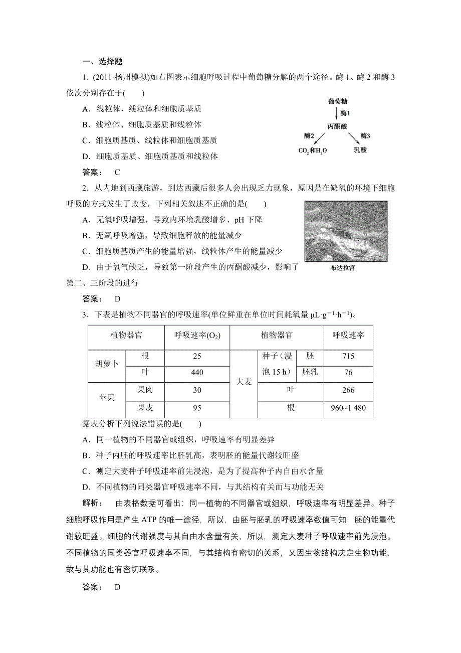 2012年高三生物试题精选精练：第五章第3节　ATP的主要来源——细胞呼吸（新人教版必修一）.doc_第1页