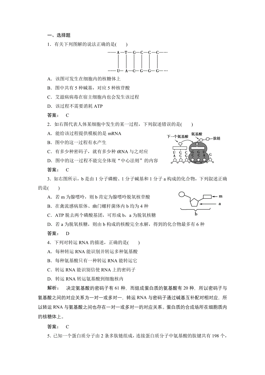 2012年高三生物试题精选精练：第四章第1、2节　基因指导蛋白质的合成　基因对性状的控制（新人教版必修二）.doc_第1页