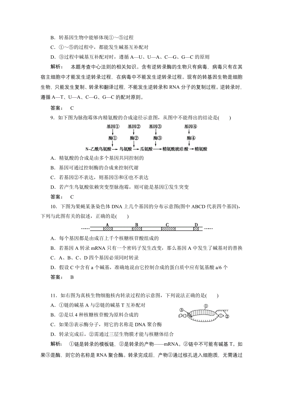 2012年高三生物试题精选精练：第四章第1、2节　基因指导蛋白质的合成　基因对性状的控制（新人教版必修二）.doc_第3页