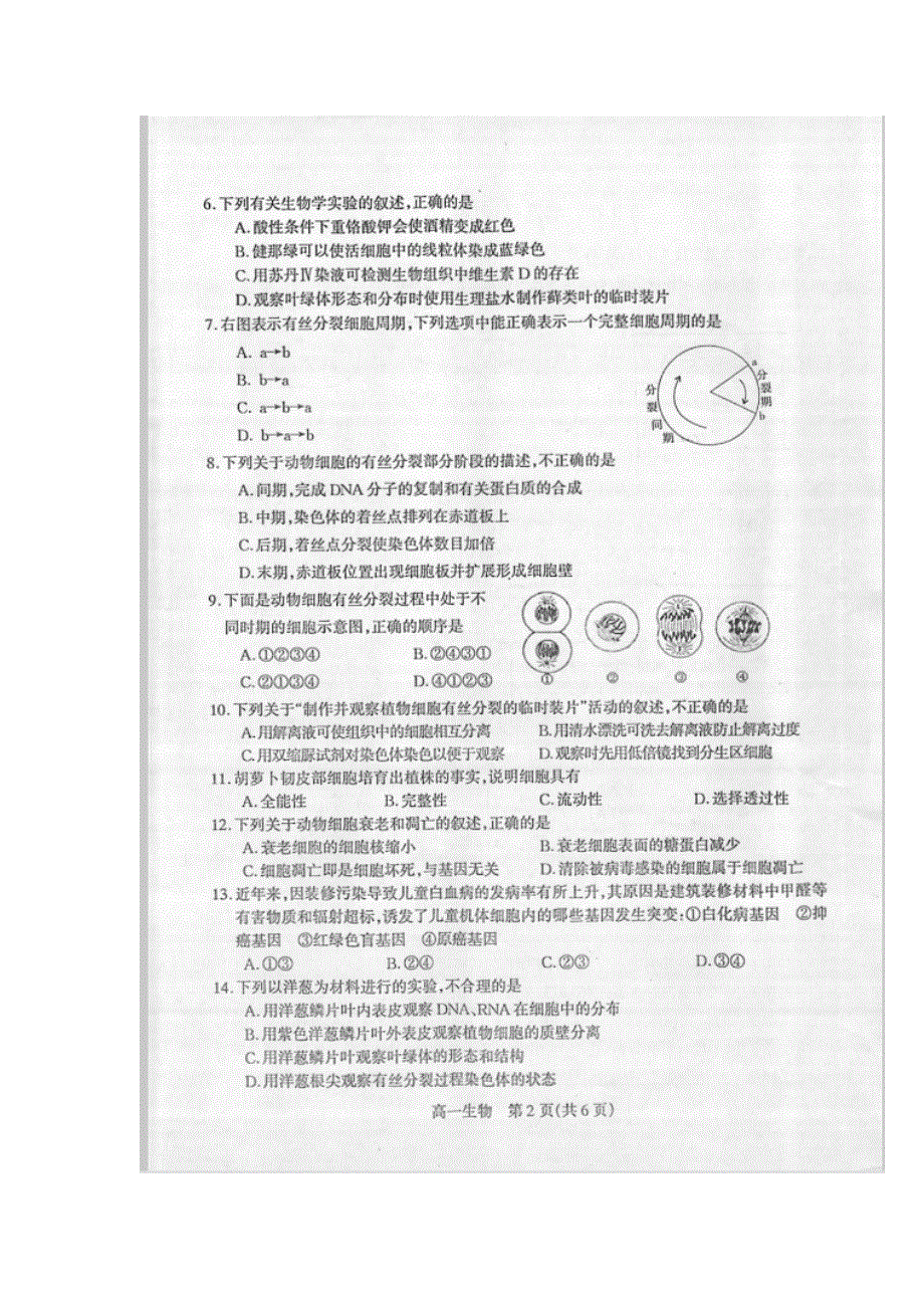 广东省信宜市2015-2016学年高一下学期期末考试生物试题 扫描版含答案.doc_第2页