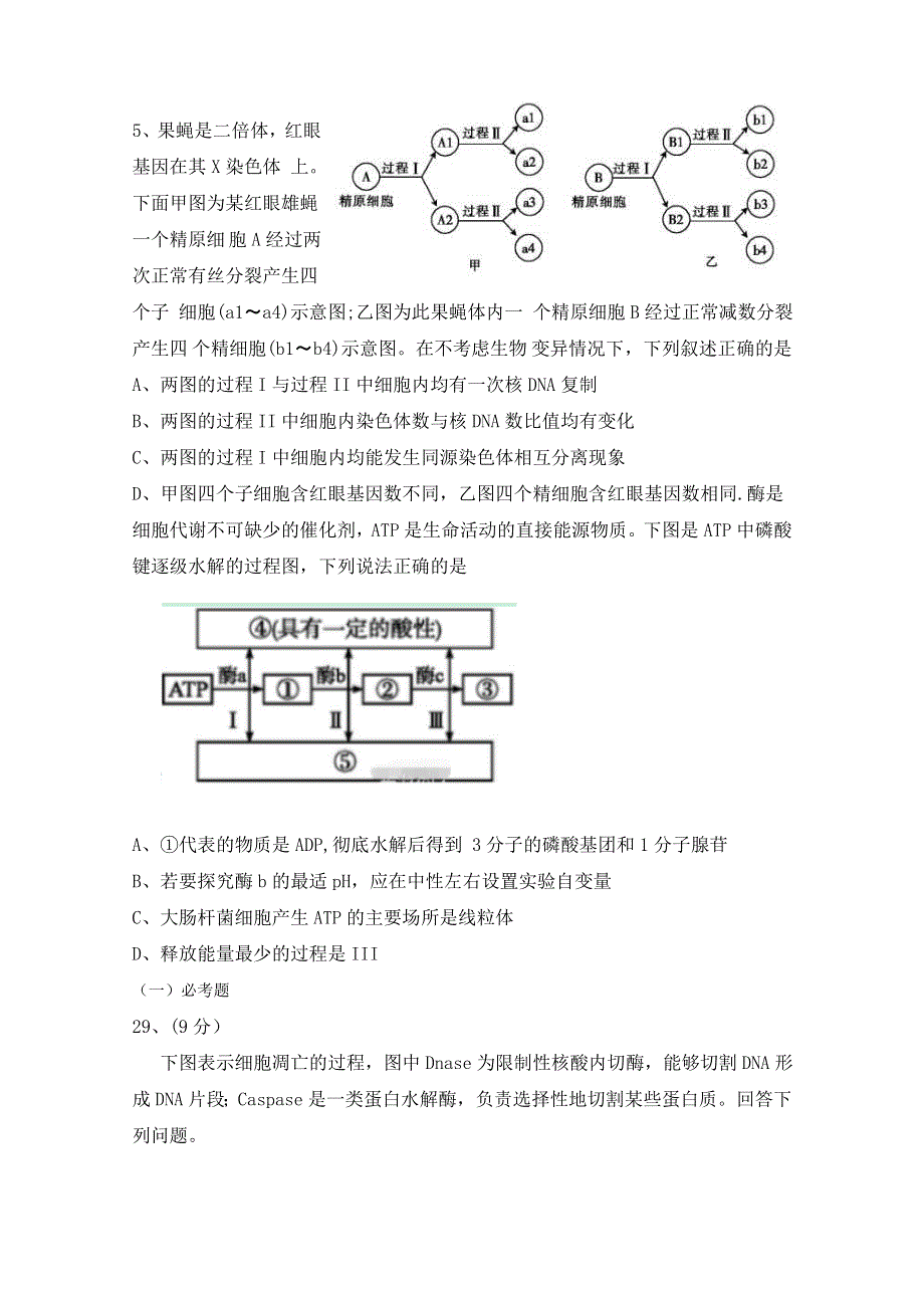 《发布》福建省福州市第十中学2018届高三下学期第一次月考理科综合（生物）试题 WORD版含答案BYFEN.doc_第2页