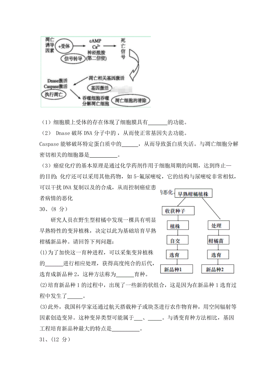 《发布》福建省福州市第十中学2018届高三下学期第一次月考理科综合（生物）试题 WORD版含答案BYFEN.doc_第3页