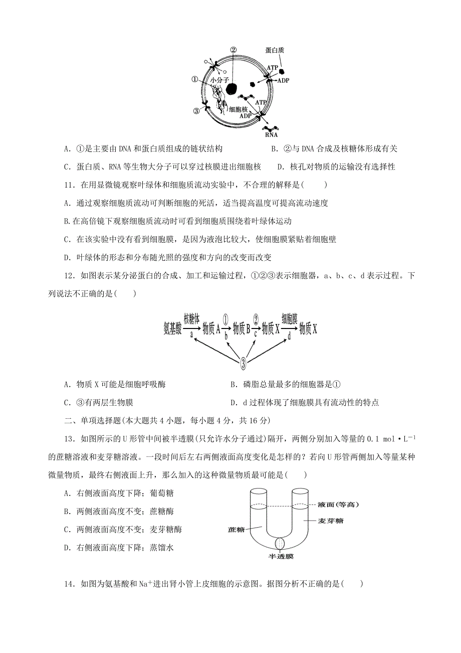 广东省信宜市第二中学2020-2021学年高一生物下学期期中热身试题.doc_第3页