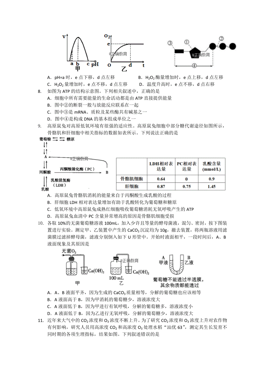 山东省曲阜夫子学校2018-2019高三上学期10月第二次检测生物试卷 WORD版含答案.doc_第2页