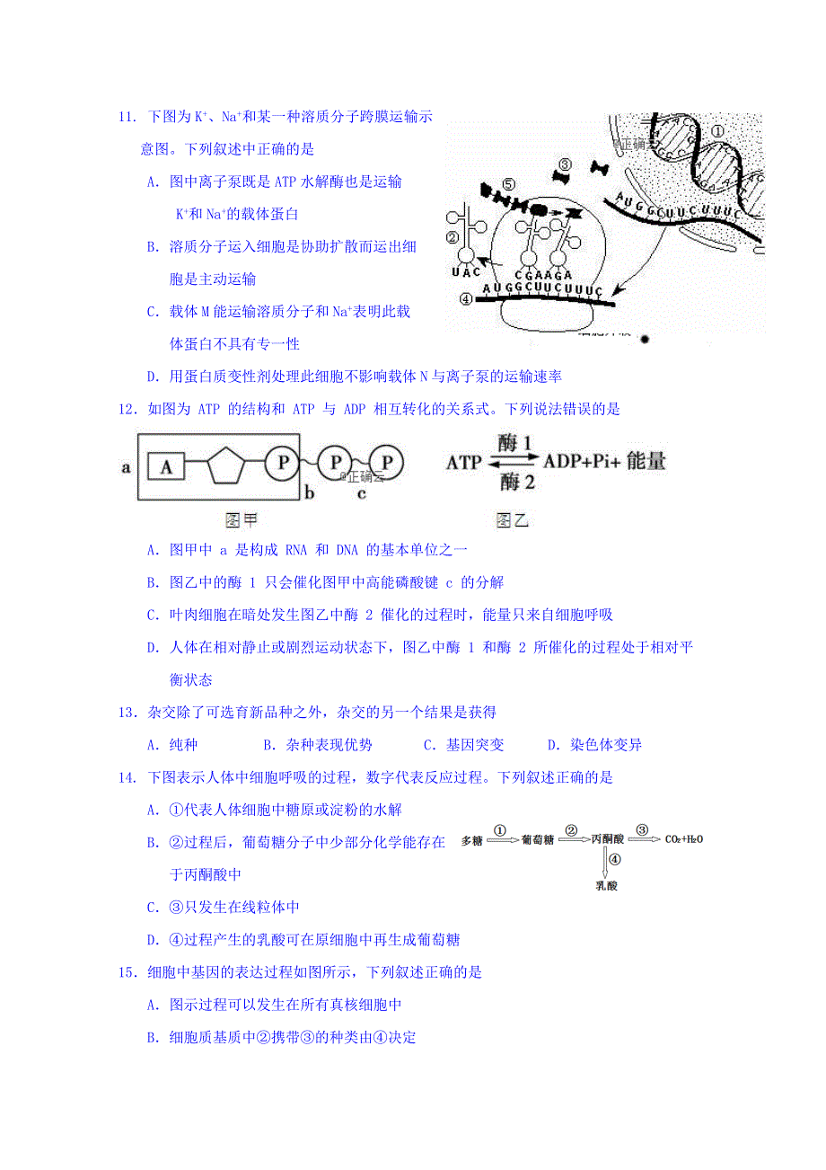 山东省曲阜夫子学校2019届高三上学期第二次（11月）月考生物试卷 WORD版含答案.doc_第3页