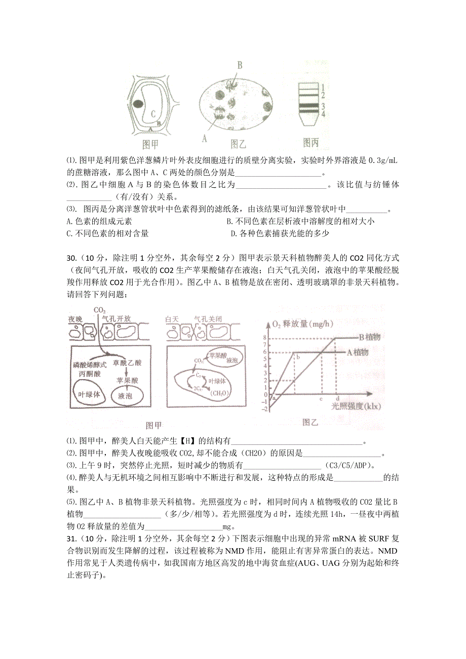 四川省泸州市2016届高三上学期第一次诊断性考试生物试题 WORD版含答案.doc_第2页