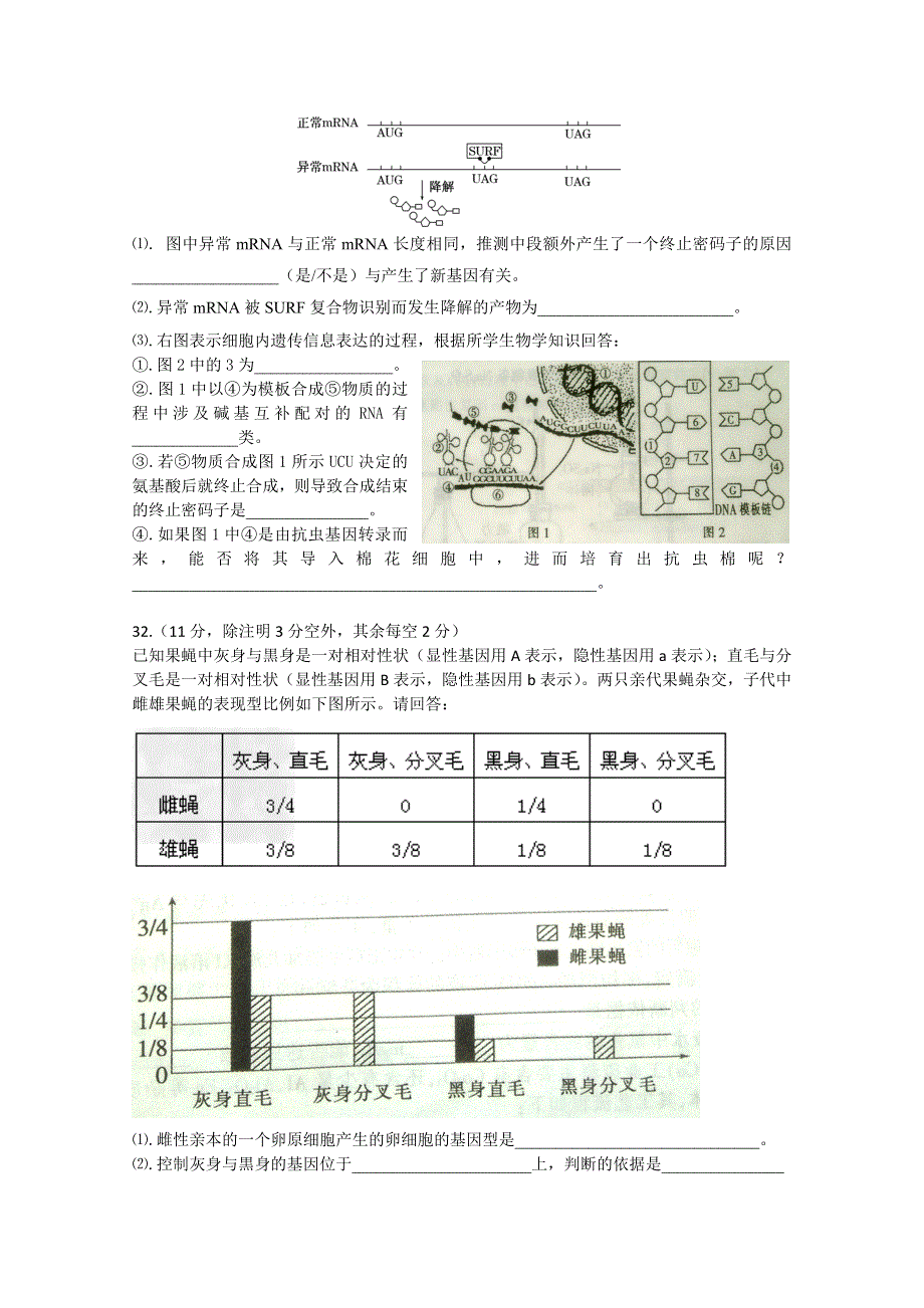 四川省泸州市2016届高三上学期第一次诊断性考试生物试题 WORD版含答案.doc_第3页