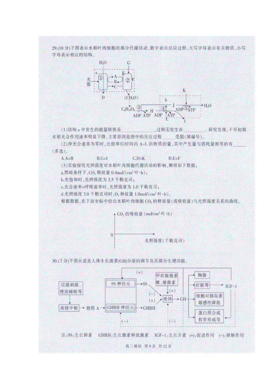 四川省泸州市2017届高三二诊理综生物试题 扫描版含答案.doc_第3页