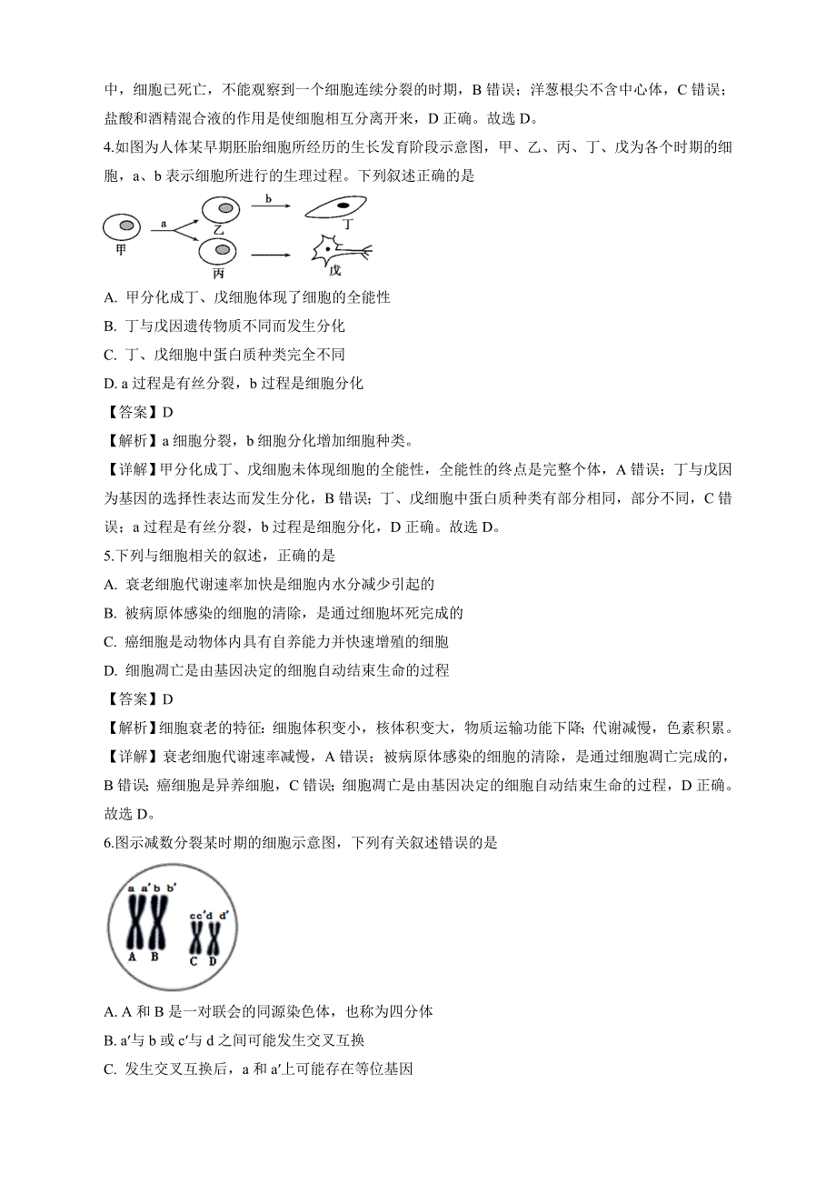 广西南宁市第三中学2018-2019学年高一下学期期中考试生物试卷（理）试卷 WORD版含解析.doc_第2页