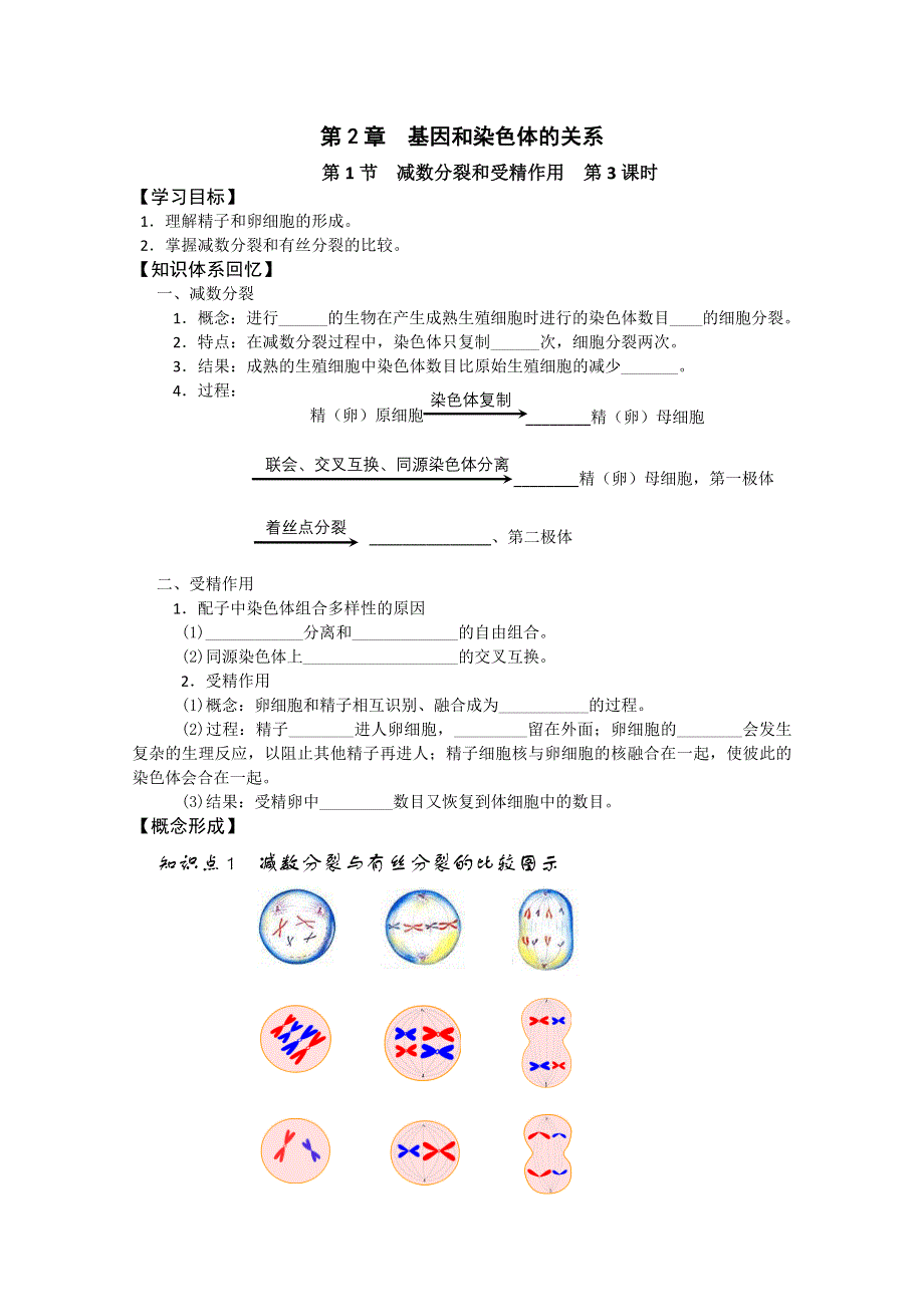 2013江苏高一生物增效减负学案：4（必修1）.doc_第1页