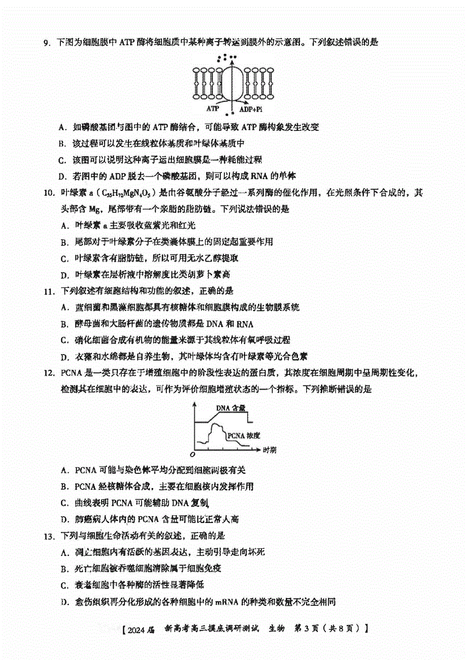 广西南宁市2023-2024高三生物上学期新高考摸底调研测试题(pdf).pdf_第3页