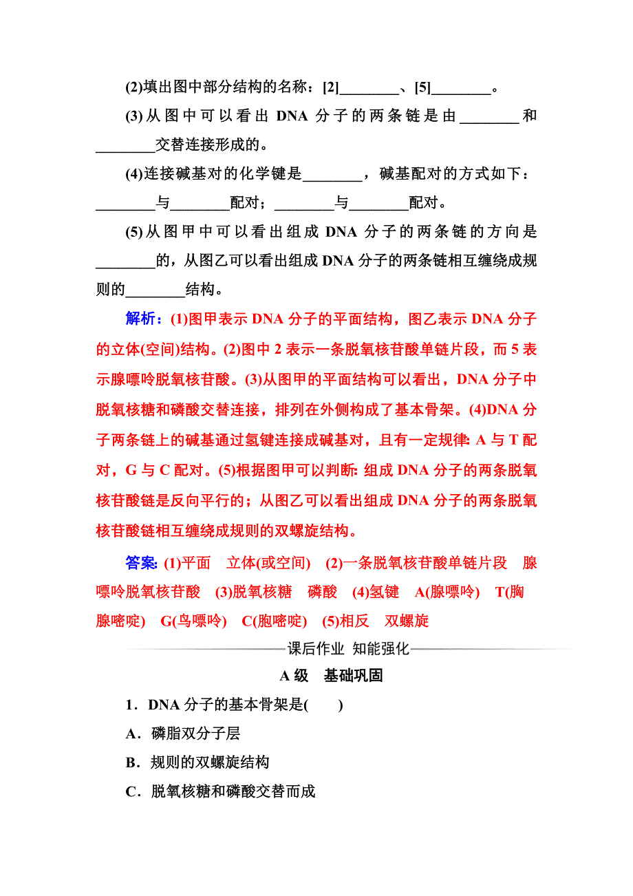 2016-2017年高中生物人教版必修2练习：第3章第2节DNA分子的结构 WORD版含解析.doc_第3页