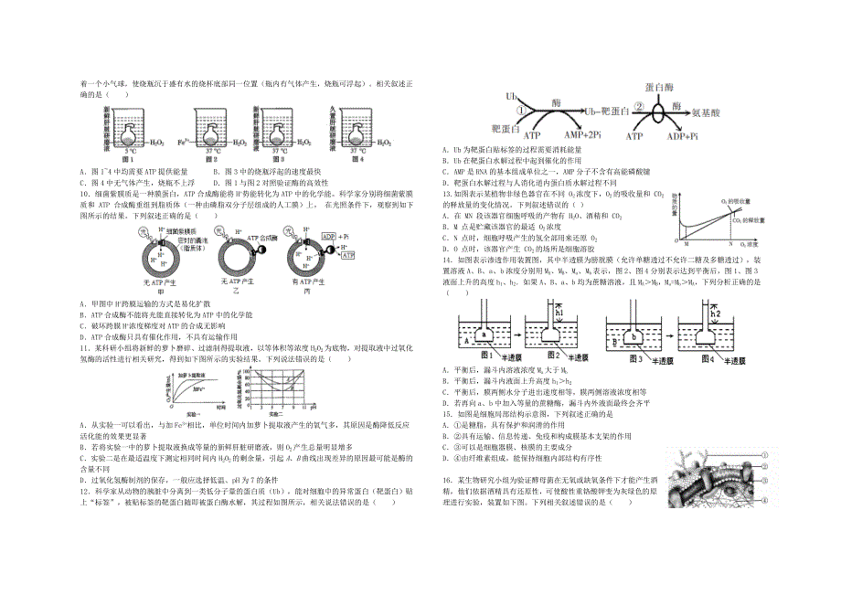 陕西省西安市第一中学2021届高三生物上学期第五次模拟考试试题.doc_第2页