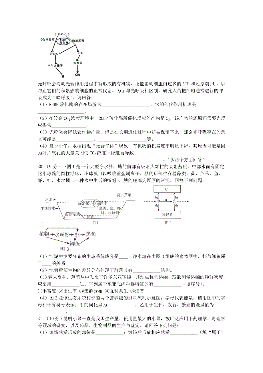 四川省泸州市合江中学2020届高三生物下学期第四学月考试试题.doc_第2页