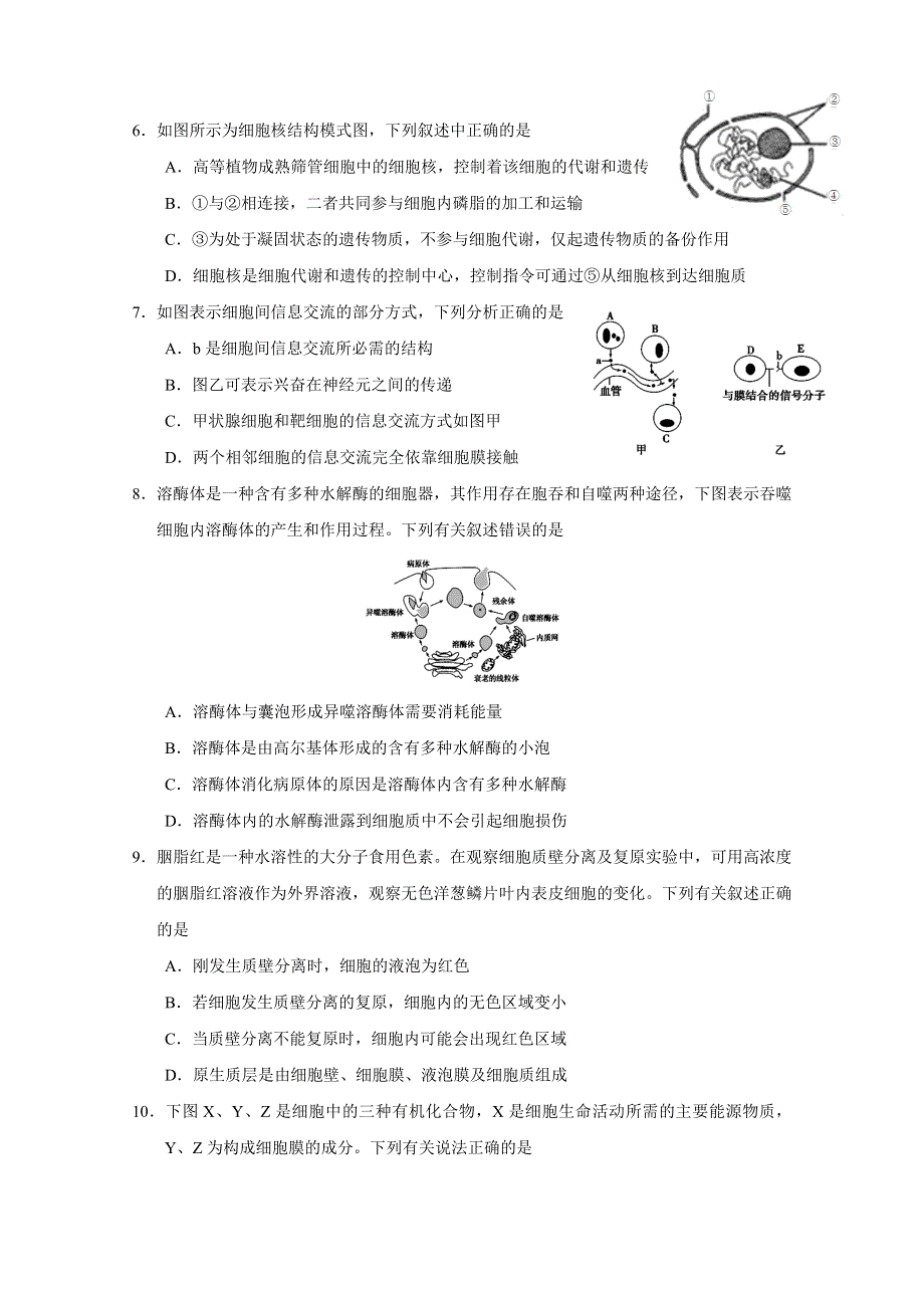 广西南宁市第三中学2020-2021学年高二12月月考生物（理）试题 WORD版含答案.doc_第2页