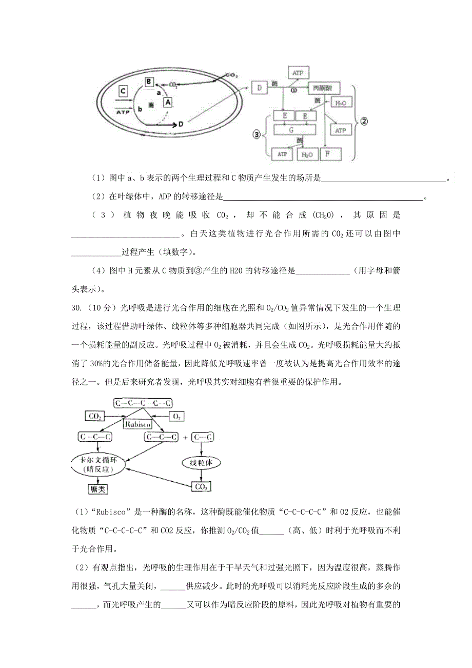 广东省兴宁市第一中学2017届高三上学期第一次段考（10月）理科综合生物试题 WORD版含答案.doc_第3页