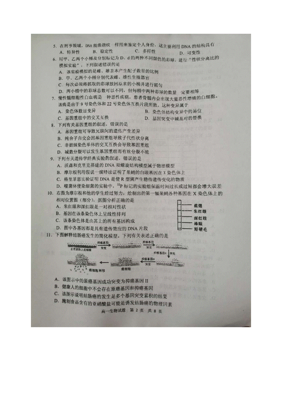 山东省日照市莒县2019-2020学年高一生物下学期期中（过程性检测）考试试题（扫描版）.doc_第2页