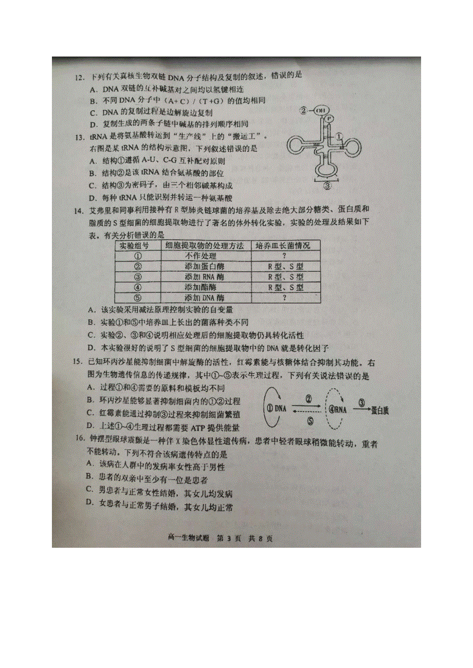 山东省日照市莒县2019-2020学年高一生物下学期期中（过程性检测）考试试题（扫描版）.doc_第3页