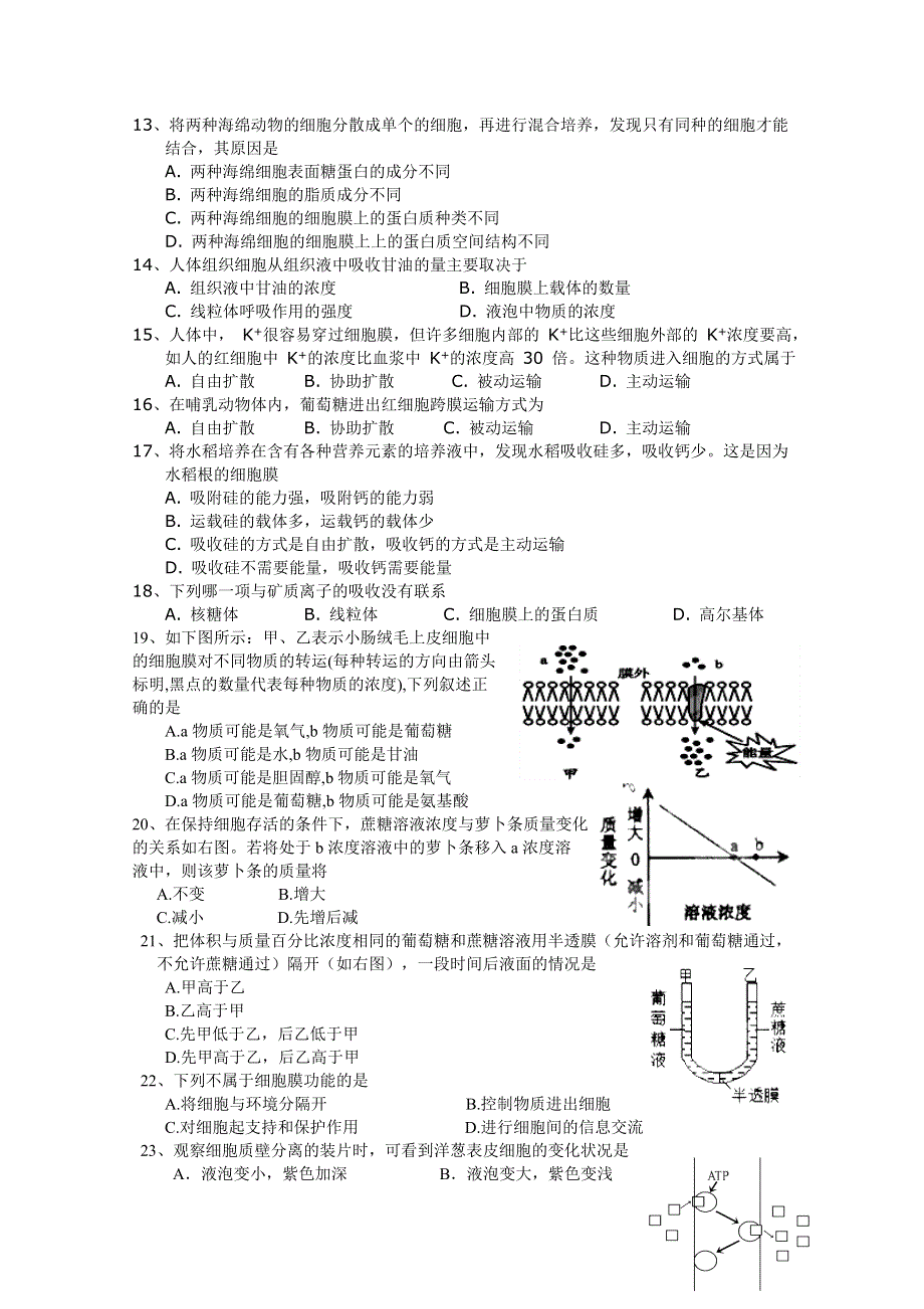 2013级生物（新人教版）阶段测试三生物A卷.doc_第2页