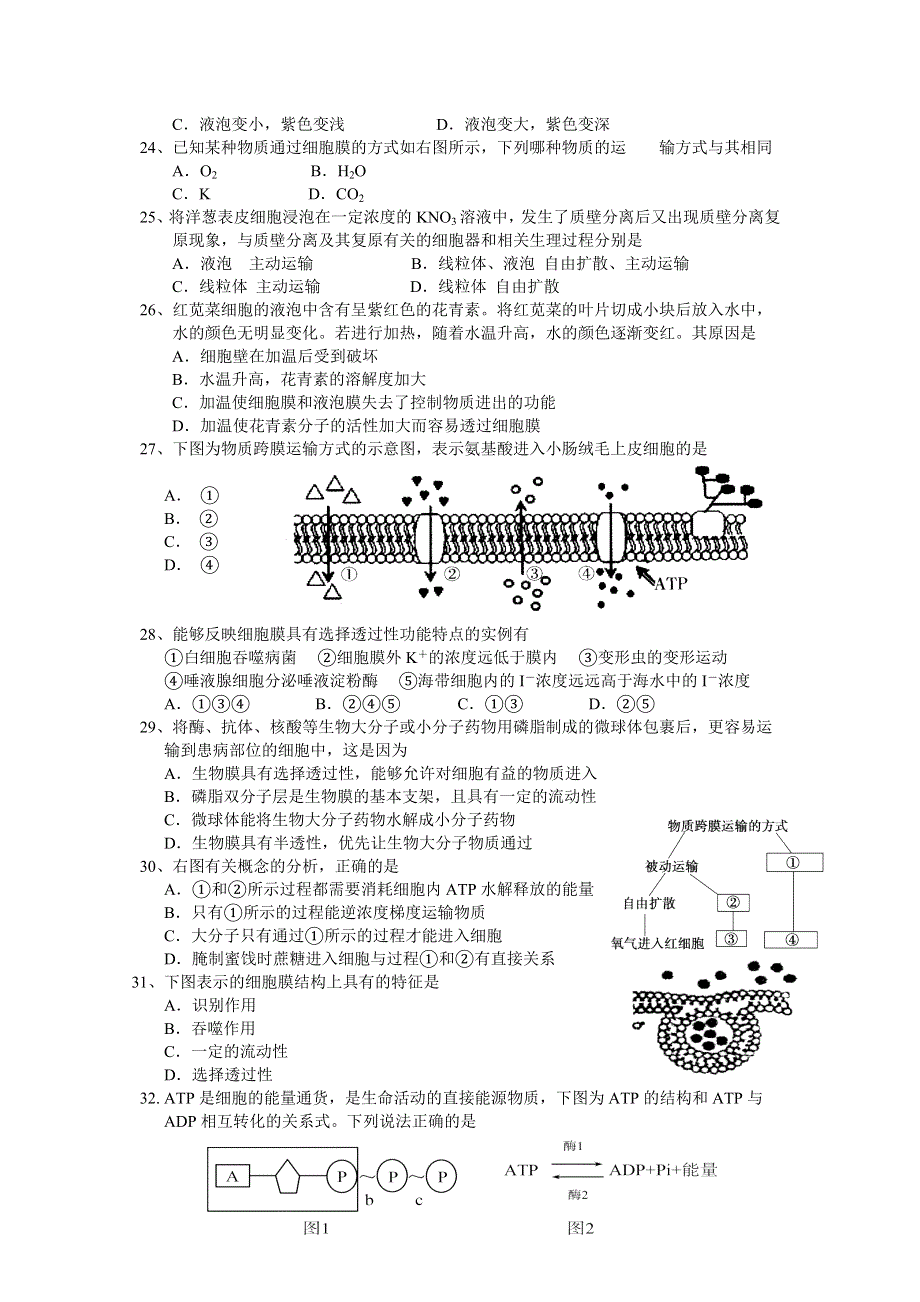 2013级生物（新人教版）阶段测试三生物A卷.doc_第3页