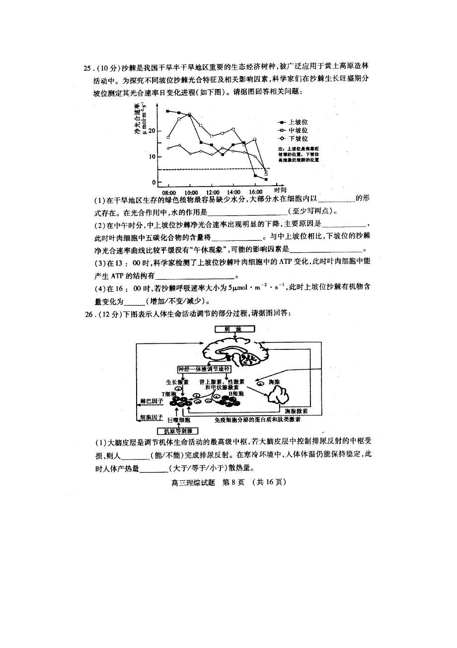 山东省枣庄市2015届高三第一次（3月）模拟考试理综--生物试题 扫描版含答案.doc_第3页