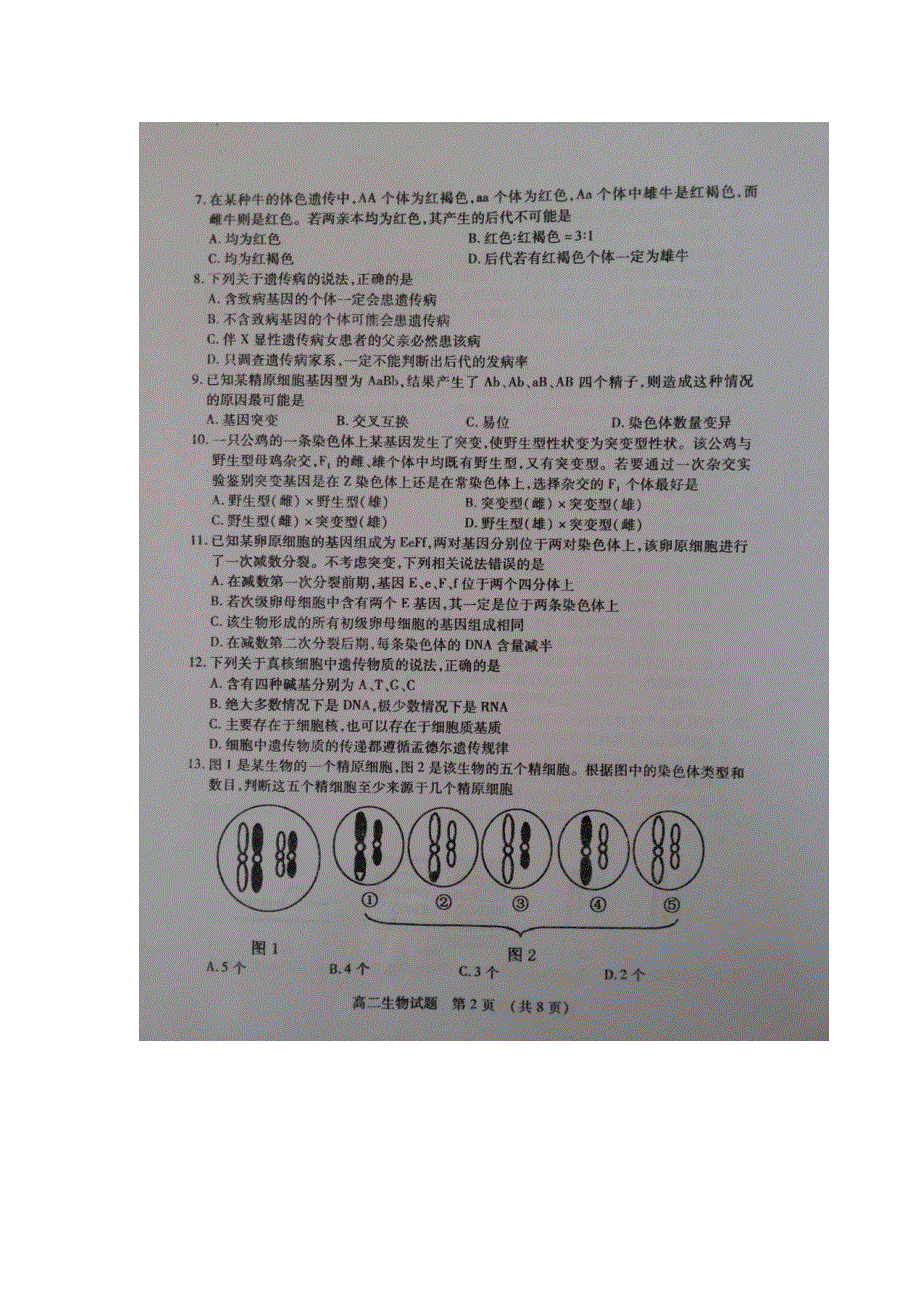 山东省枣庄市2015-2016学年高二上学期期末考试生物试题 扫描版含答案.doc_第2页