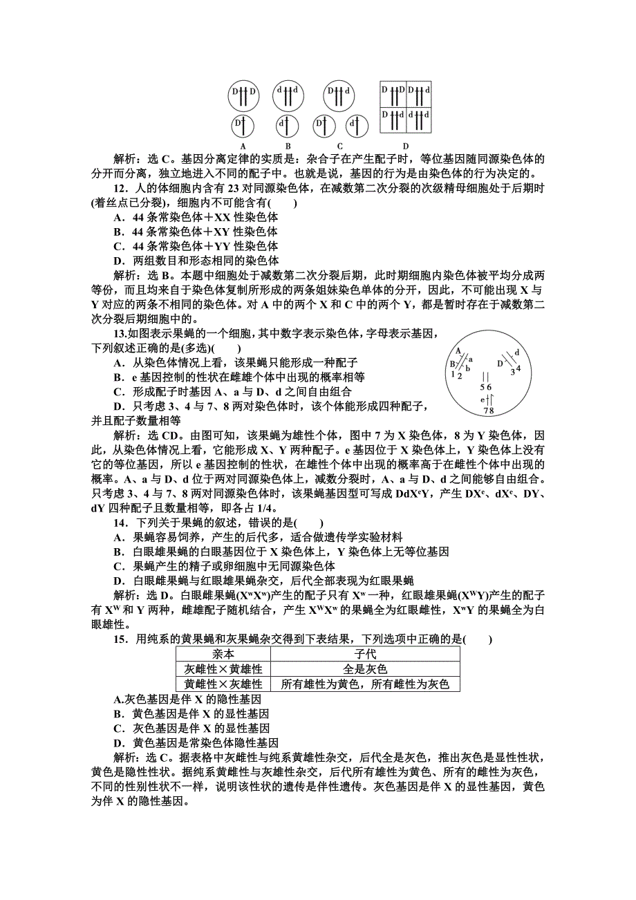 人教生物必修2第2章阶段性综合检测 WORD版含答案.doc_第3页