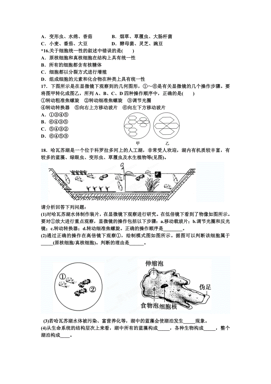 四川省泸州高级教育培训学校2012-2013学年高一生物课时练习 第一章 走近细胞.doc_第3页