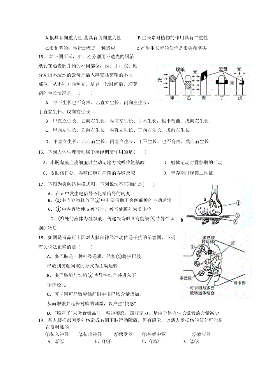 河南省通许县丽星中学2012-2013学年高二上学期期中考试生物缺答案.doc_第3页