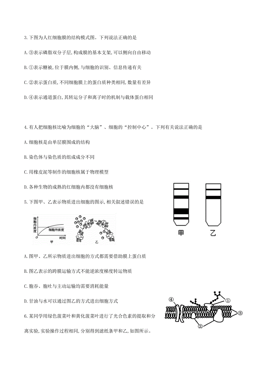 山东省枣庄市2019-2020学年高一生物下学期期末考试试题.doc_第2页