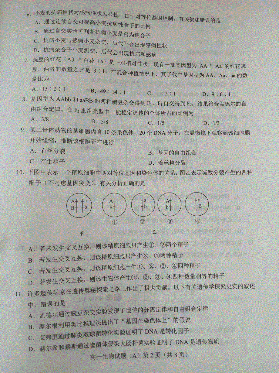 山东省枣庄市2020-2021学年高一下学期期中考试生物试题（A卷） 图片版含答案.pdf_第2页