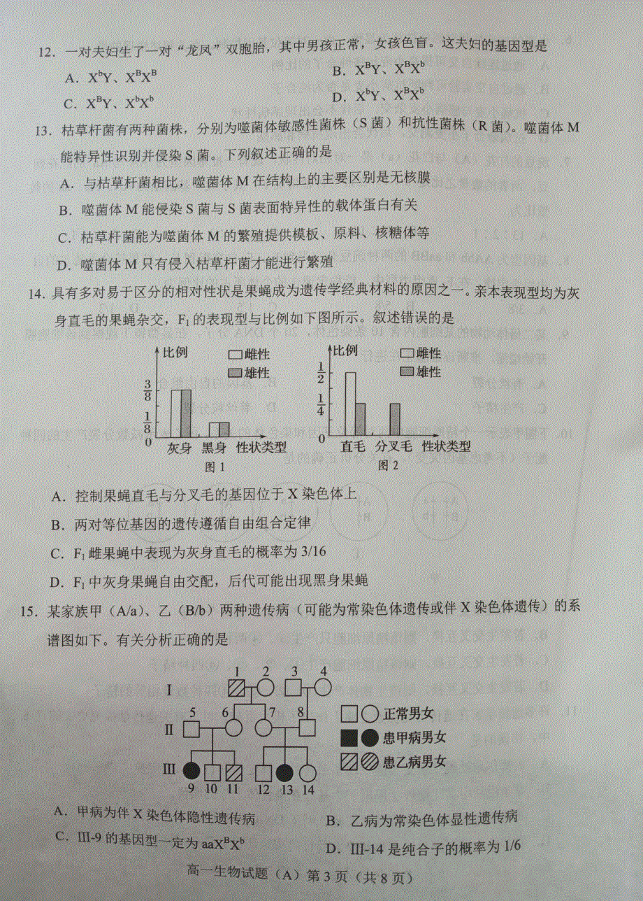 山东省枣庄市2020-2021学年高一下学期期中考试生物试题（A卷） 图片版含答案.pdf_第3页