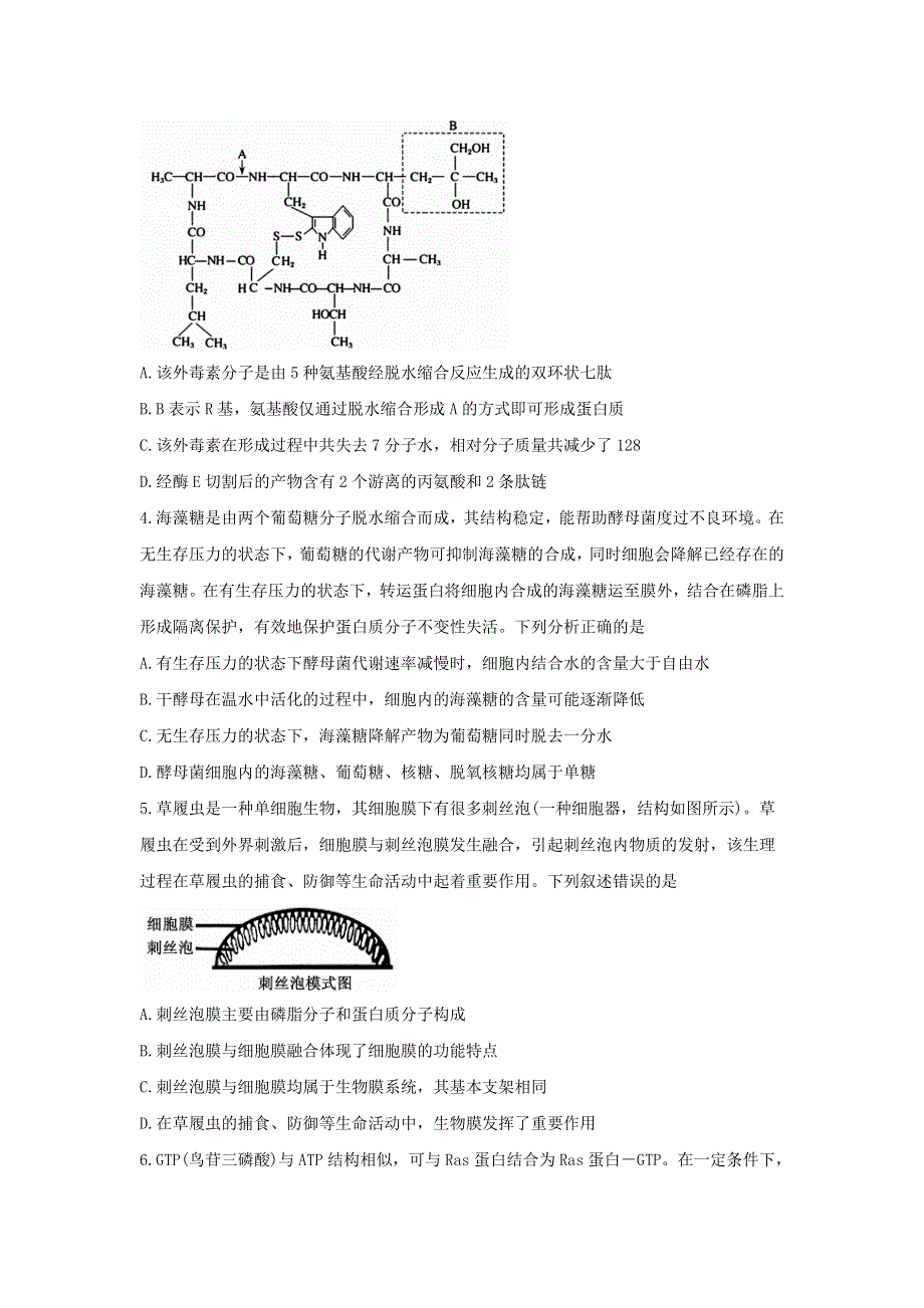 山东省枣庄市2020-2021学年高二生物下学期期末考试试题.doc_第2页