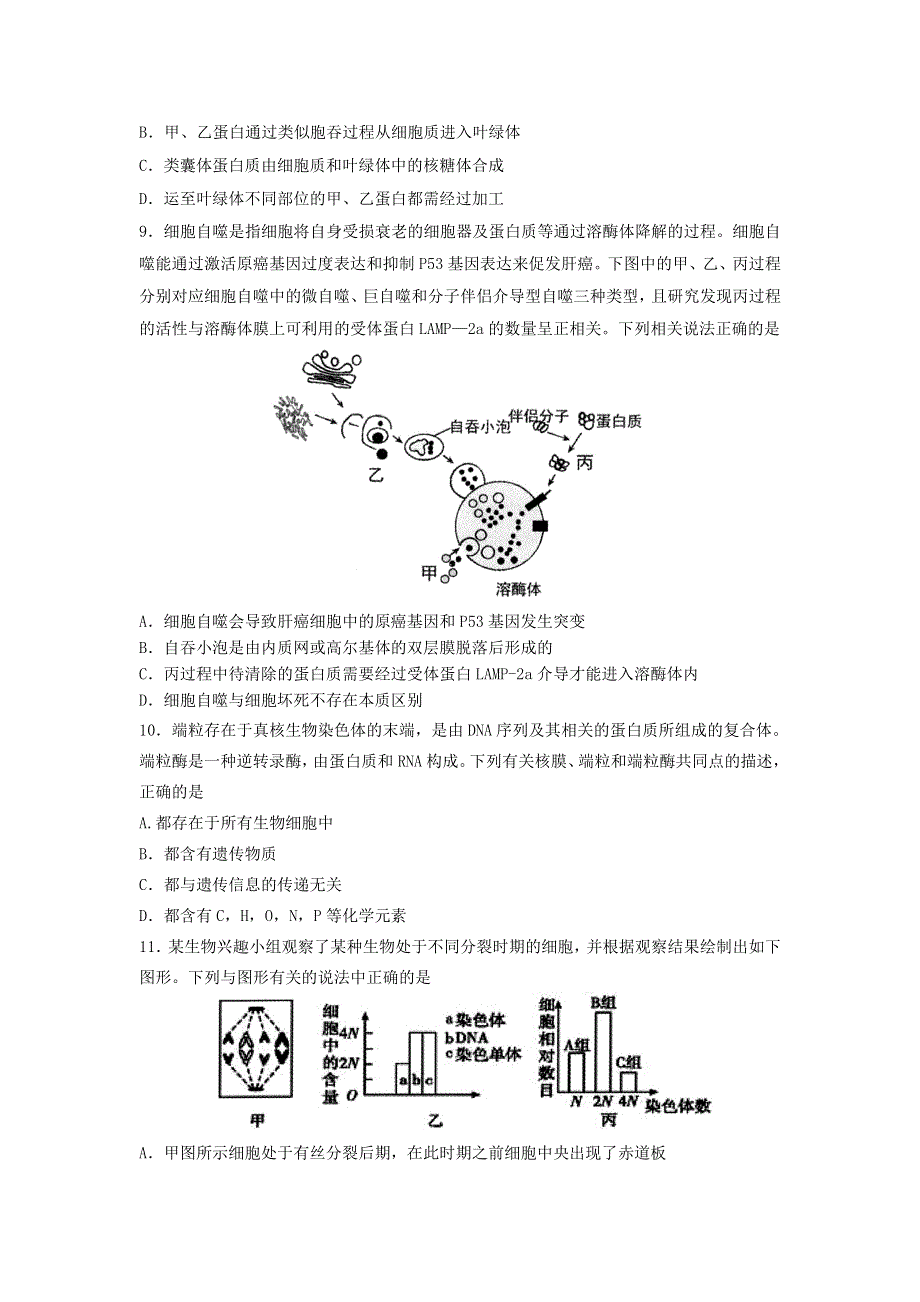 山东省枣庄三中2021届高三生物上学期第二次质量检测试题.doc_第3页