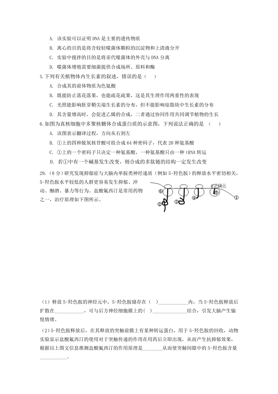 四川省眉山一中2019届高三下学期入学考试生物试卷 WORD版含答案.doc_第2页